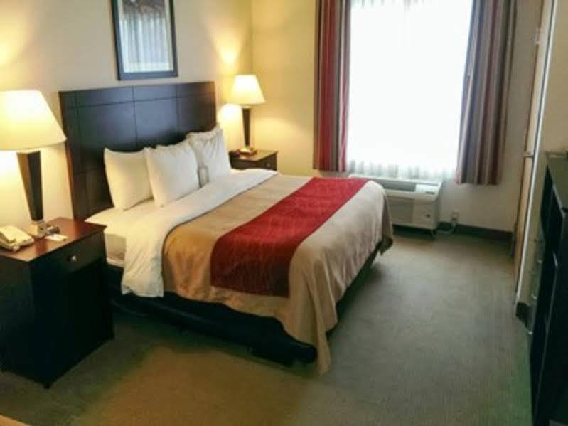 Comfort Inn & Suites Creswell Eksteriør billede